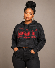 Load image into Gallery viewer, Person wearing a black hoodie with 'DST Delta Sigma Theta' text on a beige background
