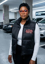 Load image into Gallery viewer, DST Puffer Vest