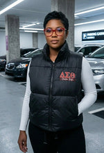 Load image into Gallery viewer, DST Puffer Vest
