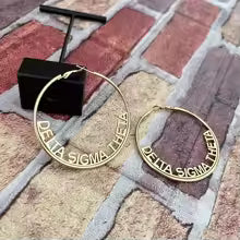 Delta Stainless Steel Earrings