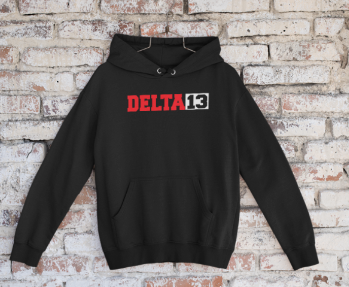 DST Delta 13 Hoodie