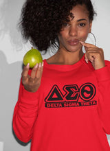 Load image into Gallery viewer, DST Greek Letters Sweatshirt
